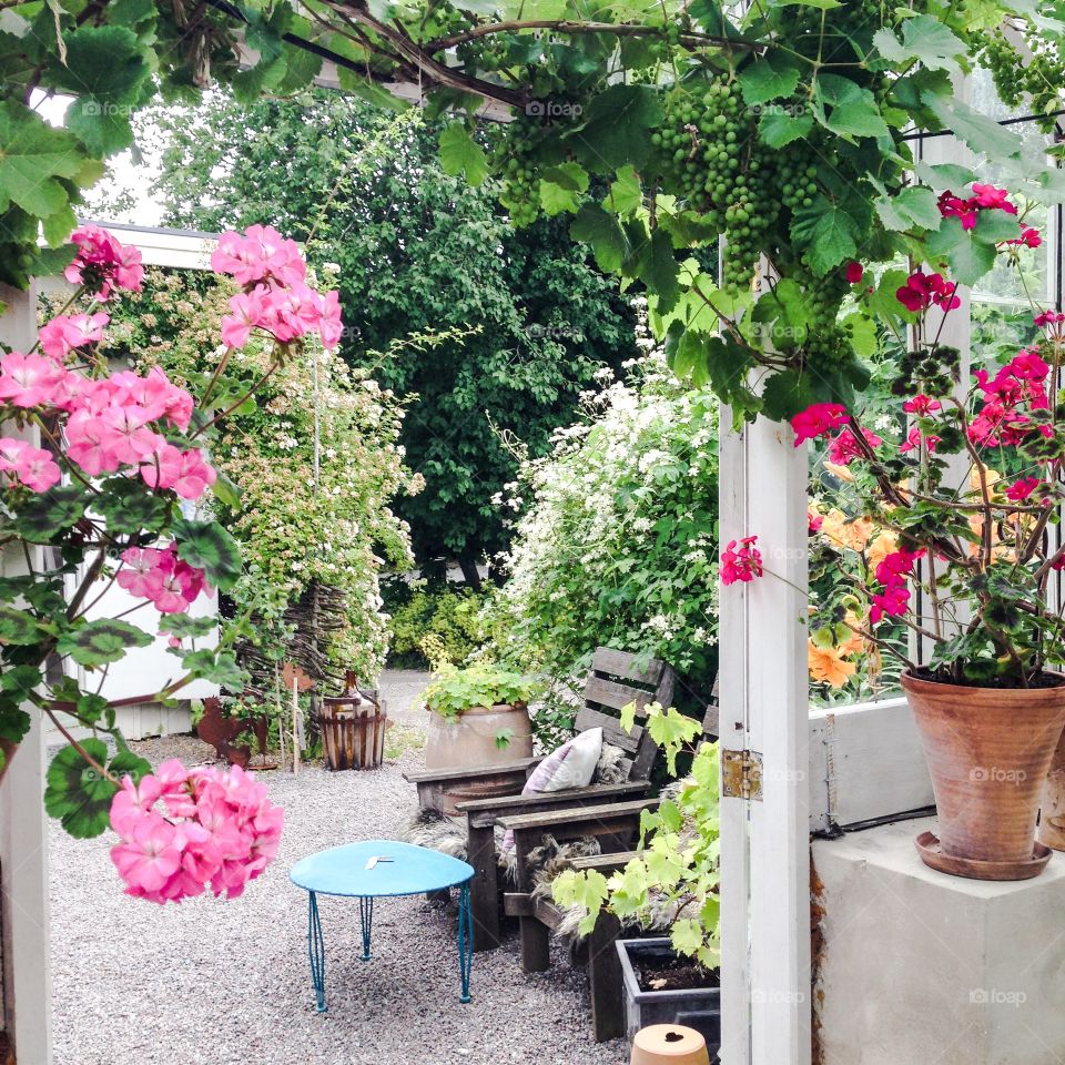 summer garden cafe sweden