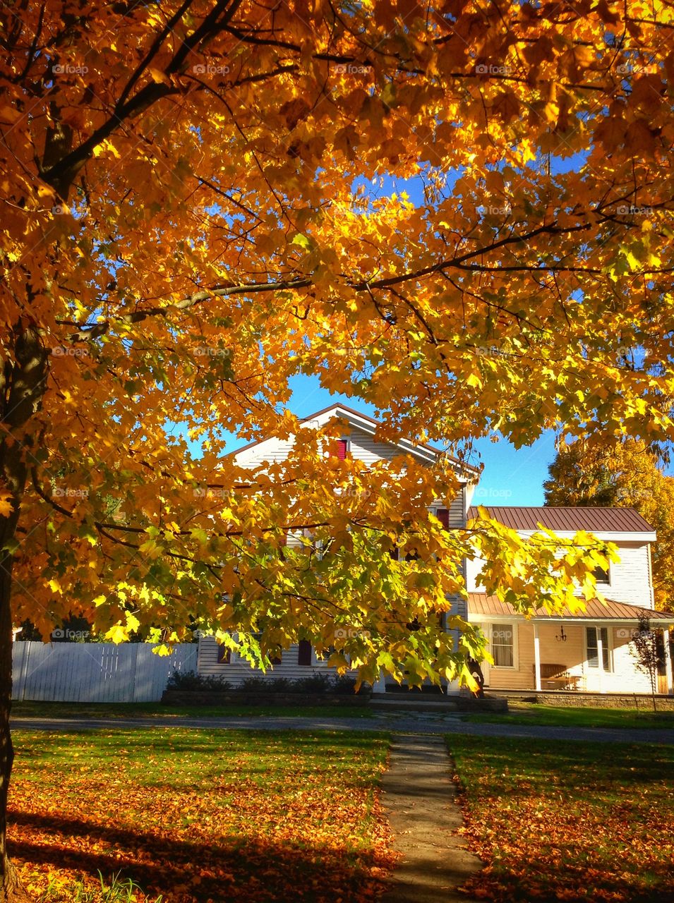 In front of the house.... Fall colours around...