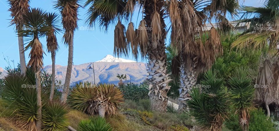 Pico de Tade
Tenerife