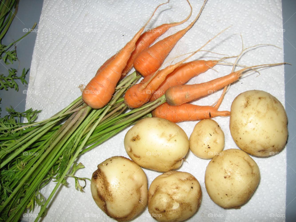 home grown carrots and potatoes 