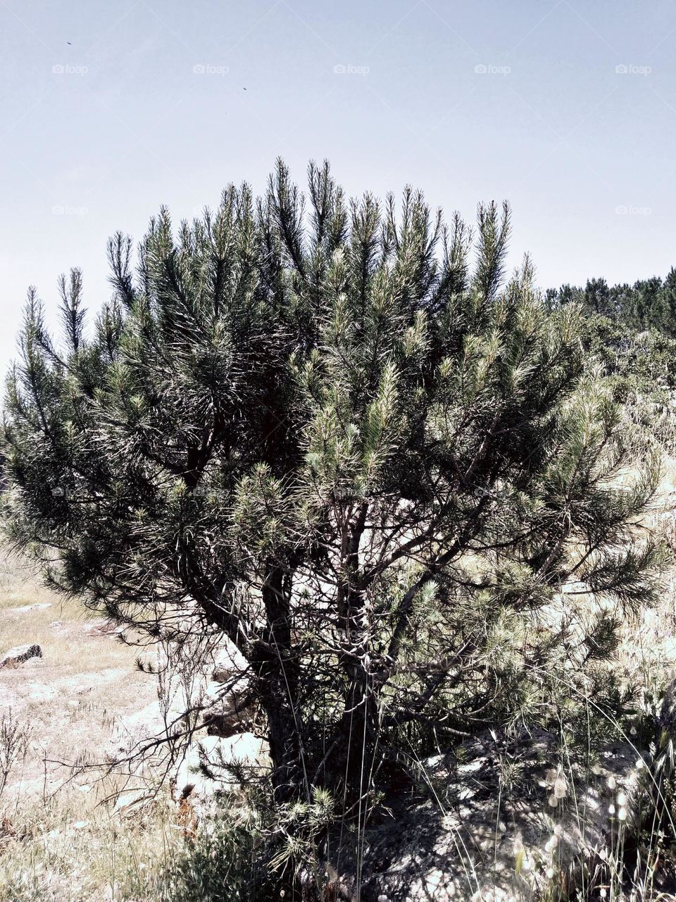 Editors' Choice - Photo of the Week