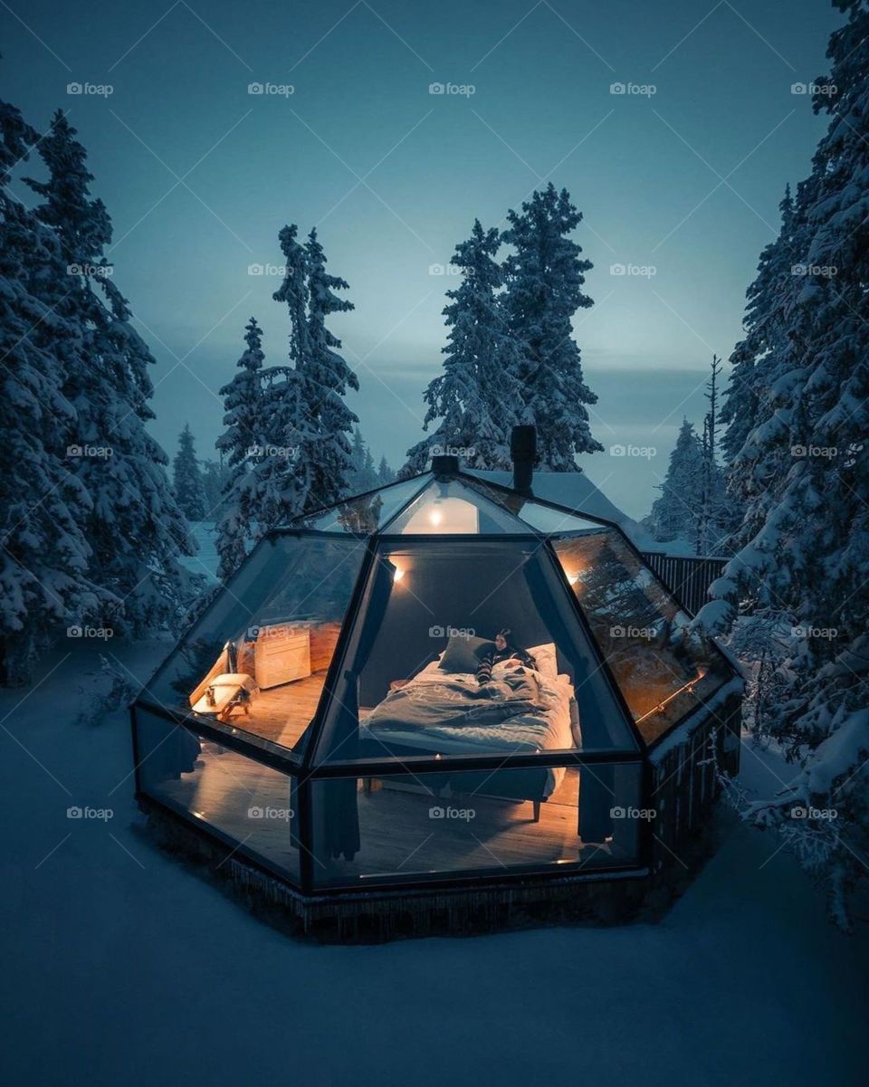 Christmas lights are on now 2020