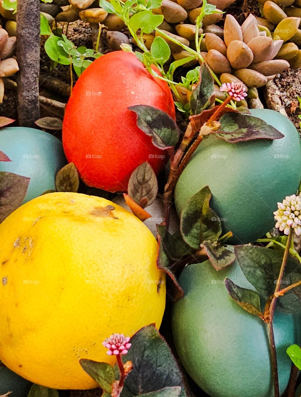 dyed eggs in a bush with a lemon on a spring day in San Francisco California with earthy pastel spring colors with spring flowers beginning to bloom