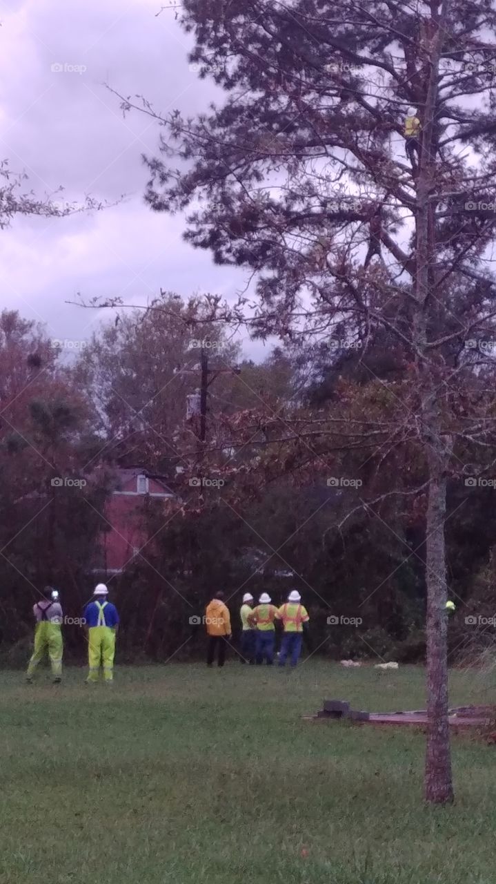 tree they dubbed a "widow maker" in a lighting storm to restore power in Havelock, NC after Hurricane Florence.