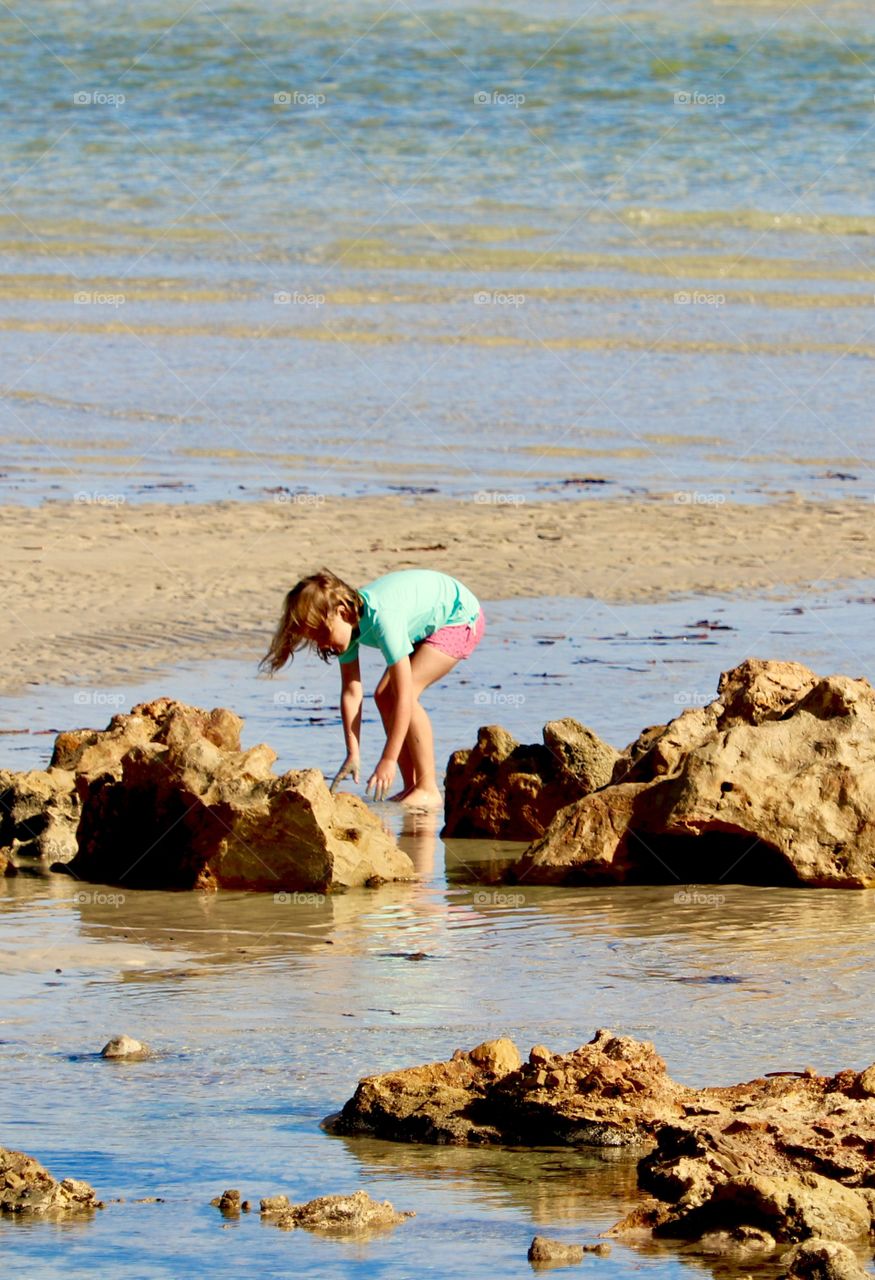 Little girl exploring seashore collecting seashells 