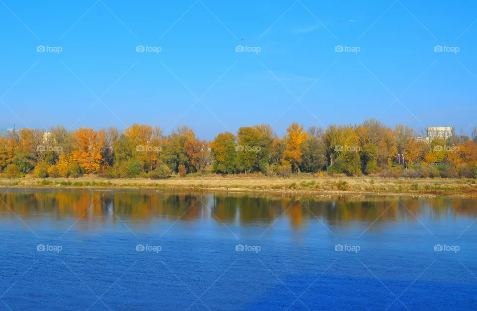 Lake, Fall, No Person, Water, Tree