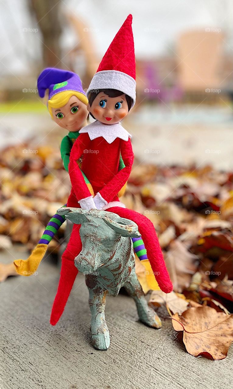 Two elves riding on a bull on the patio, elf on the shelf antics, funny elf ideas, original elf on the shelf ideas 