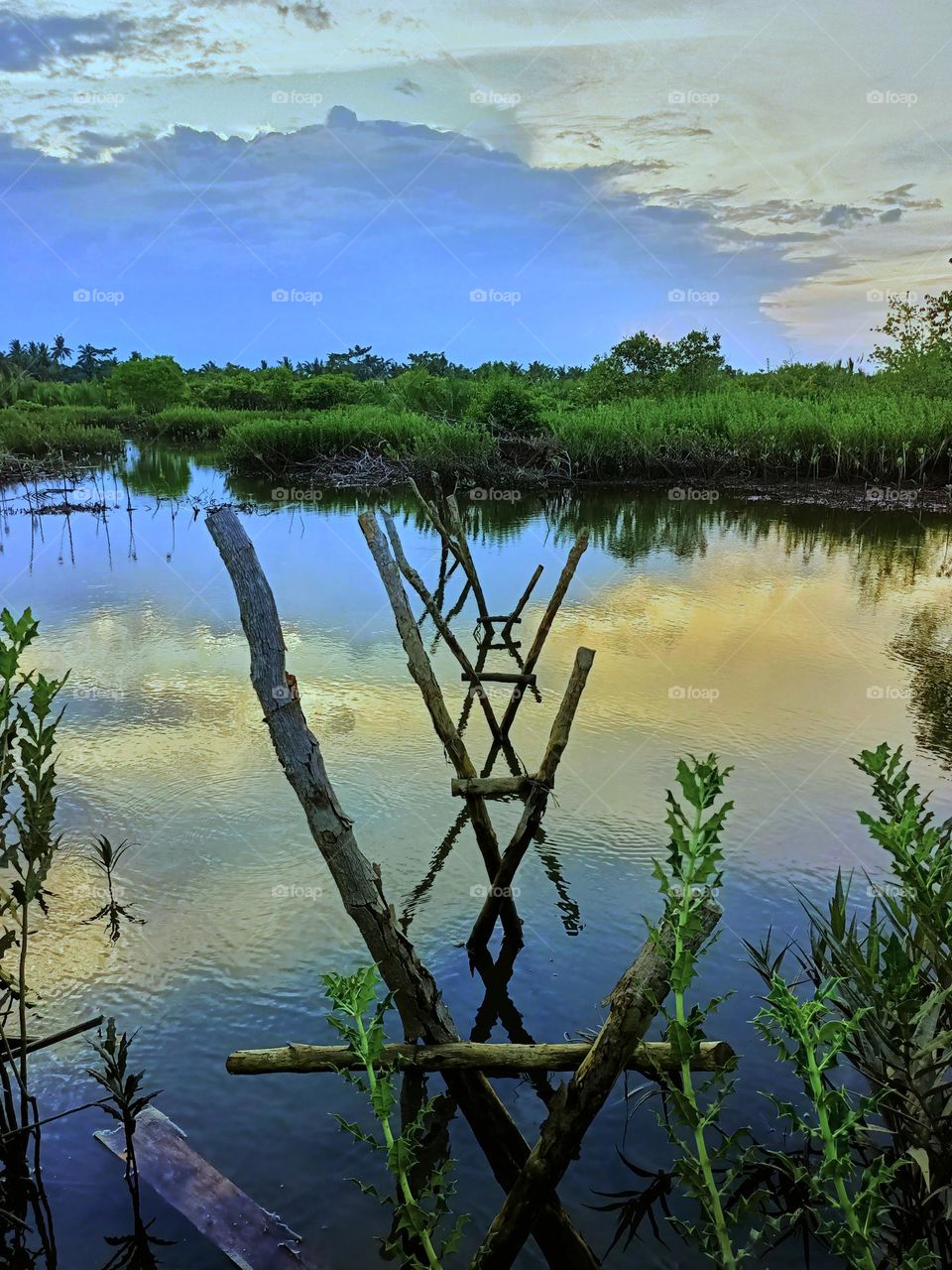 Wooden bridge pillars. Best place for fishing.Wetland landscape at dusk.