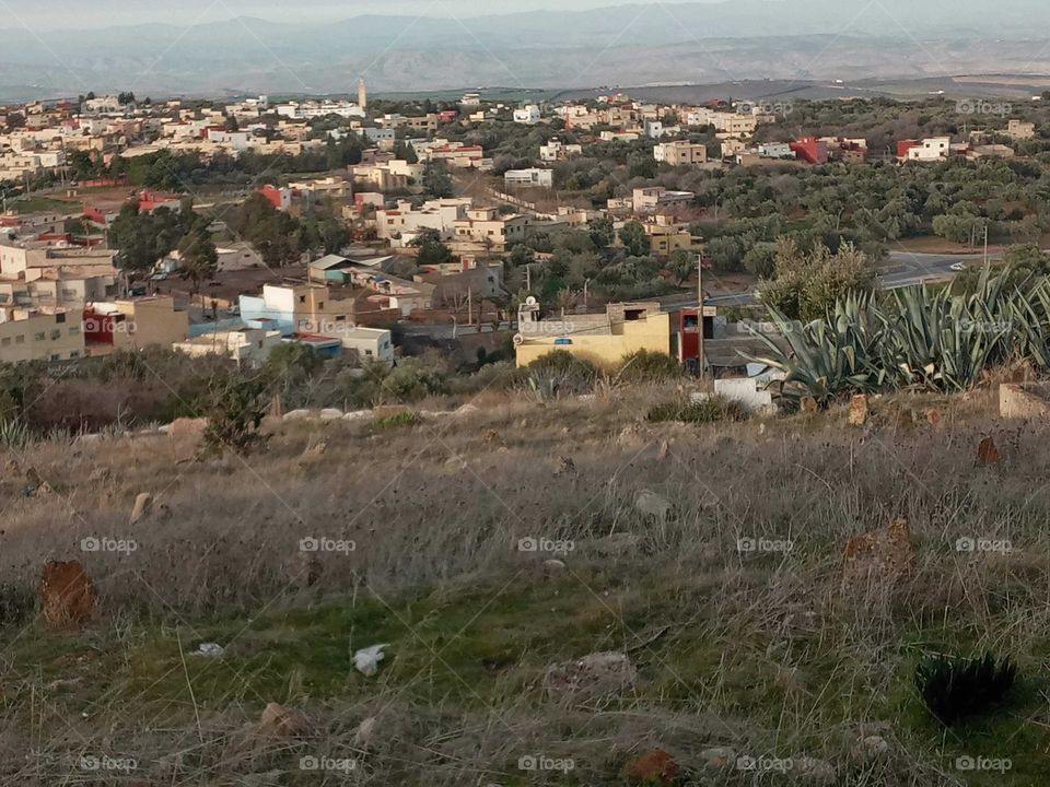 Population between the nature