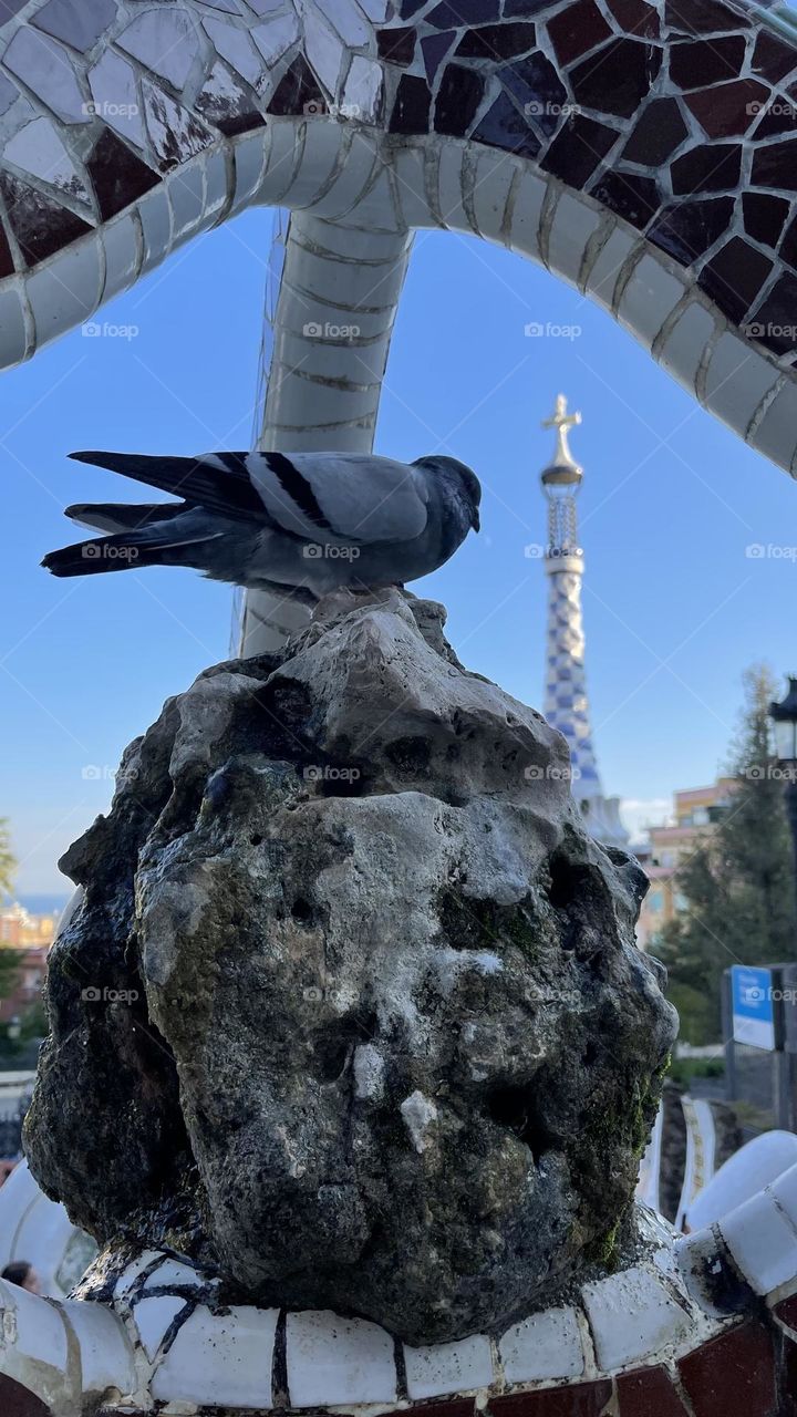 Barcelona spain 🇪🇸