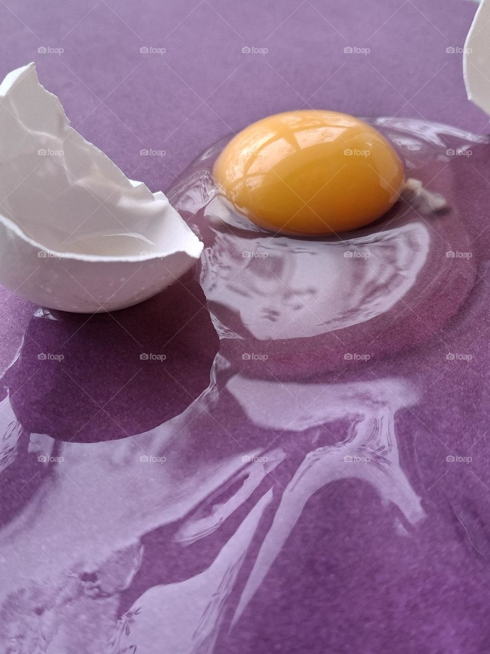 macro photo of a broken egg on a purple background showing the contrast of complementary colors