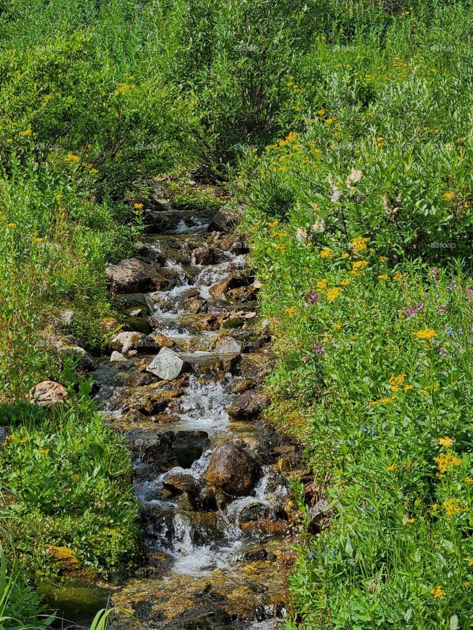Waterfalls flowing over colorful rocks
