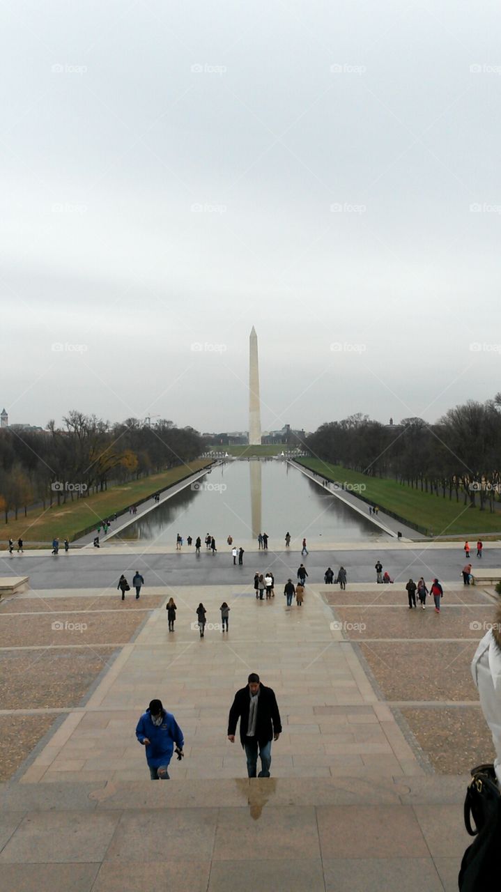 Washington D. C. 