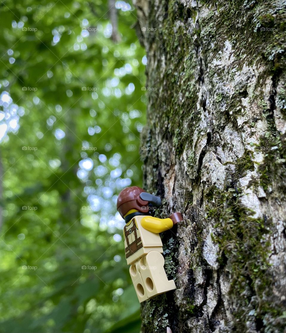 Up the Tree Lego