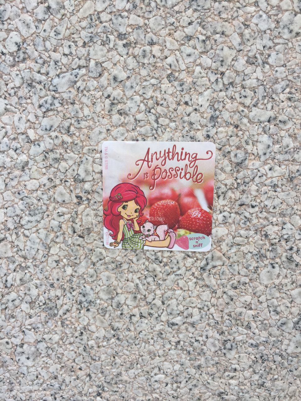Anything is Possible Sticker on Wall