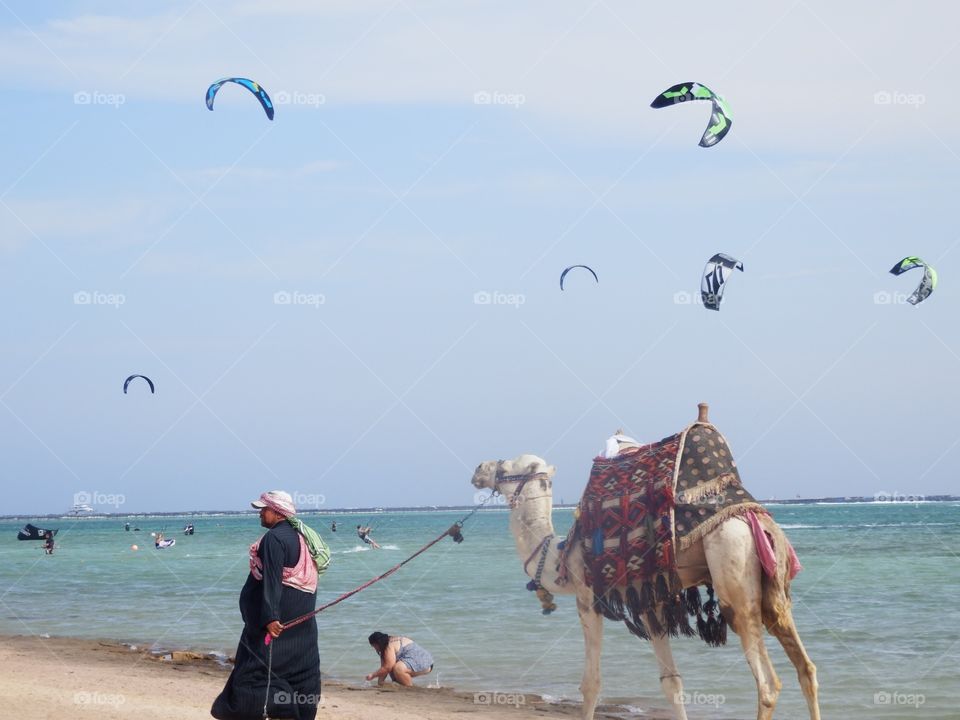 Camels and kites