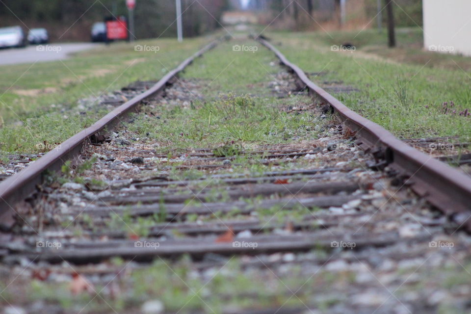 grassy Train tracks