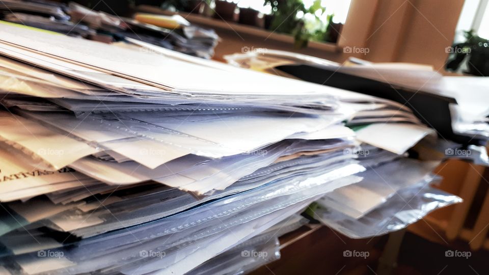 lots and lots of documents... basically a forest