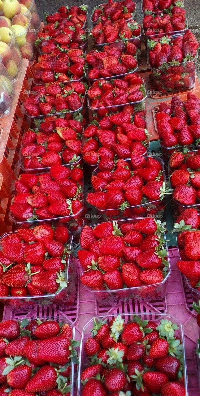 Many box of red fresh juicy strawberries