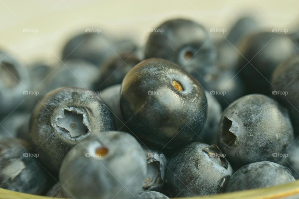 closeup of blueberry