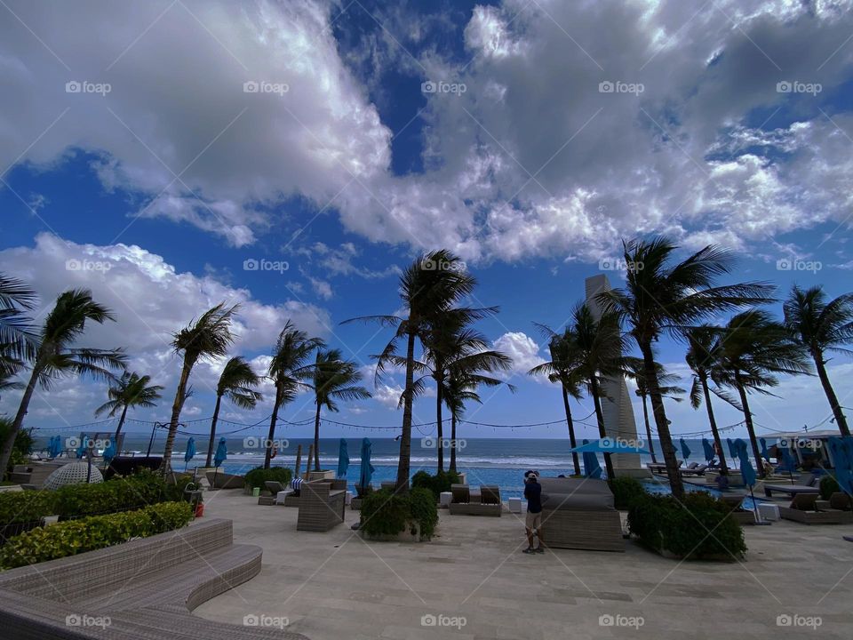 Life is better with palm trees