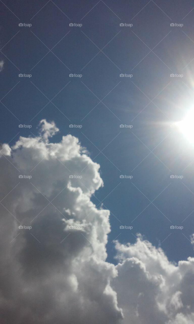 420 and the sun is shining