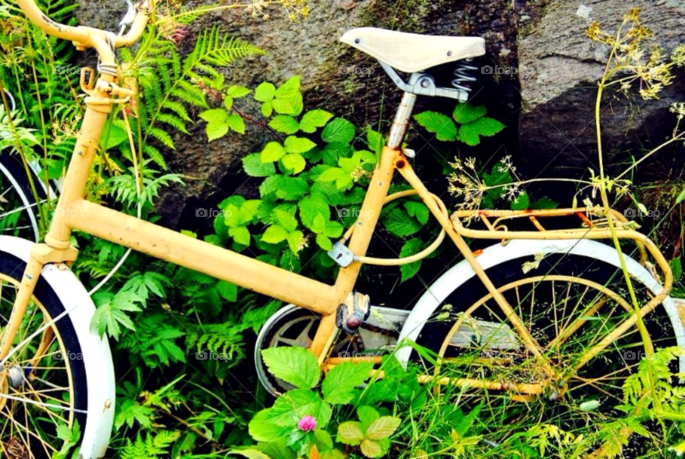 bicycle green sommar summer by merethe