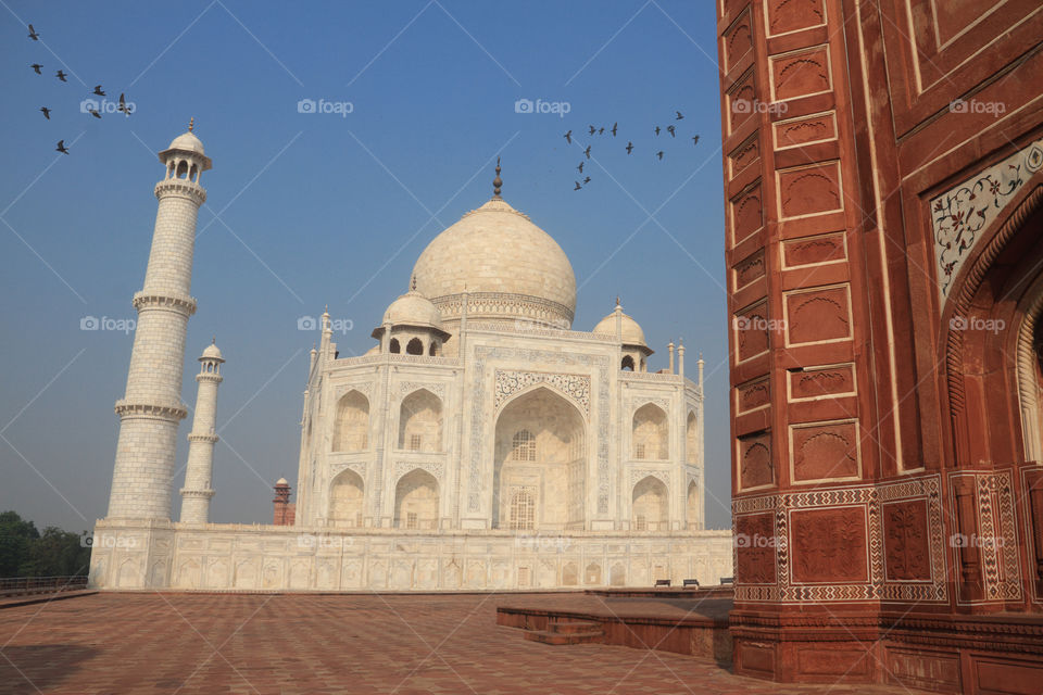 Taj Mahal, Agra, Uttar Pradesh, India