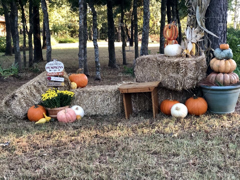 Fall Outdoor Decor 