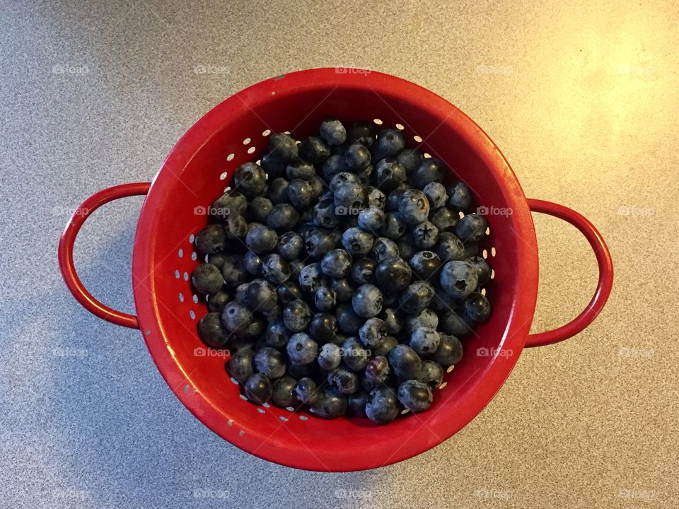 Blueberries 