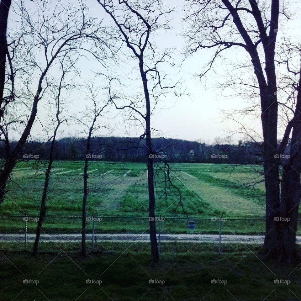 the great outdoors from my back porch of the farm behind my building