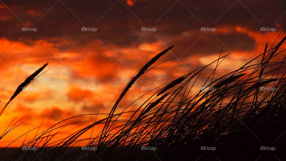 Sunset over Vorupoer, Thy Nationalpark, Denmark