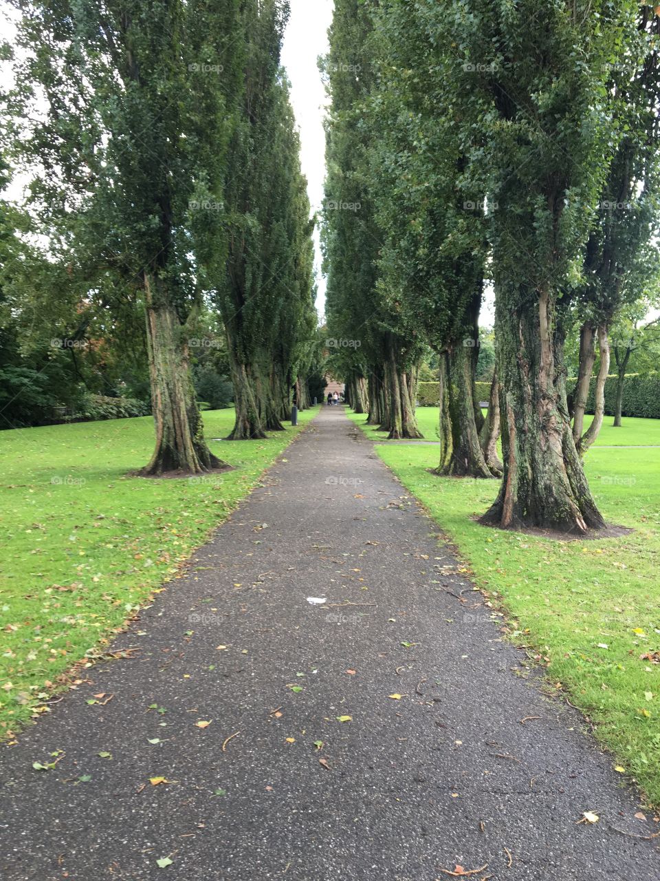 Pathway at The Park in Rotterdam