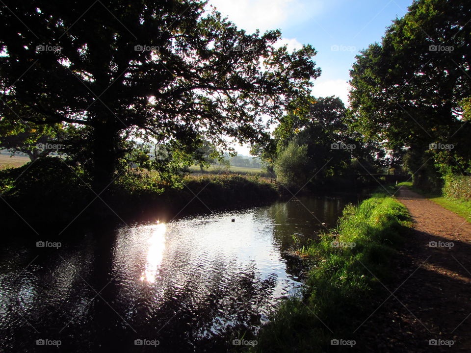 An evening walk