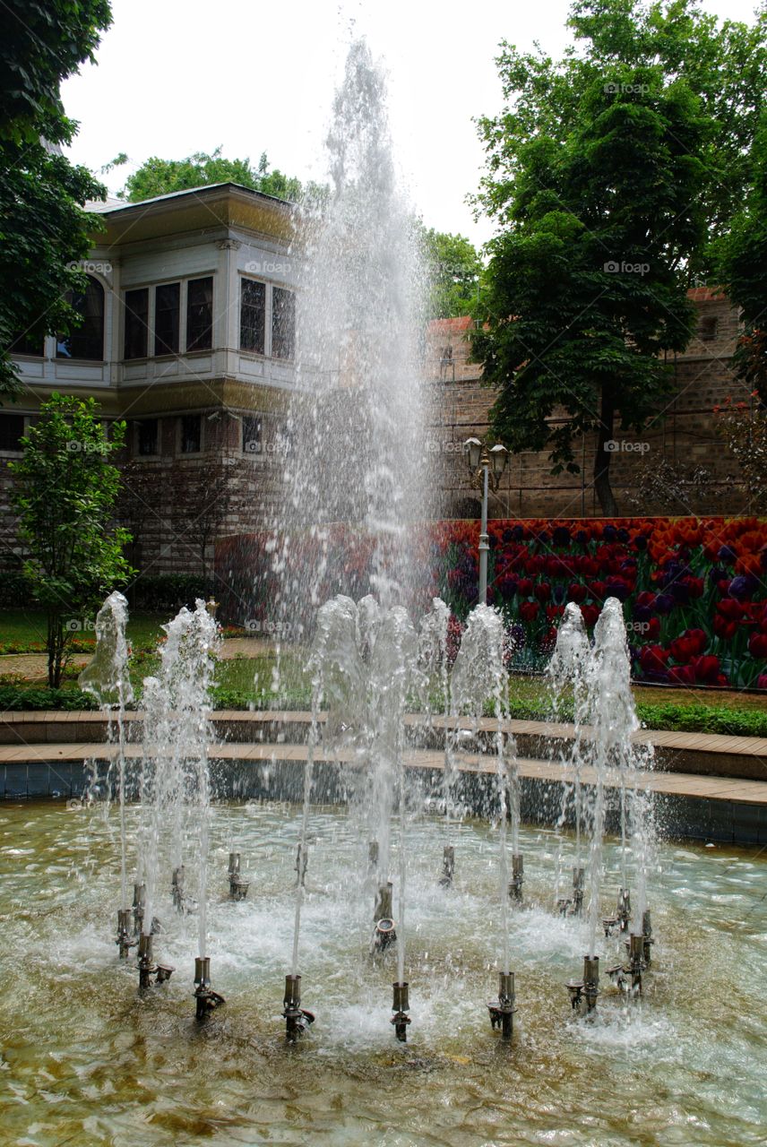 fountain