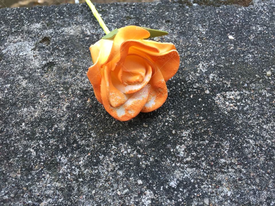 Colours can breath life into our lives ❤️🧡💛💚💙