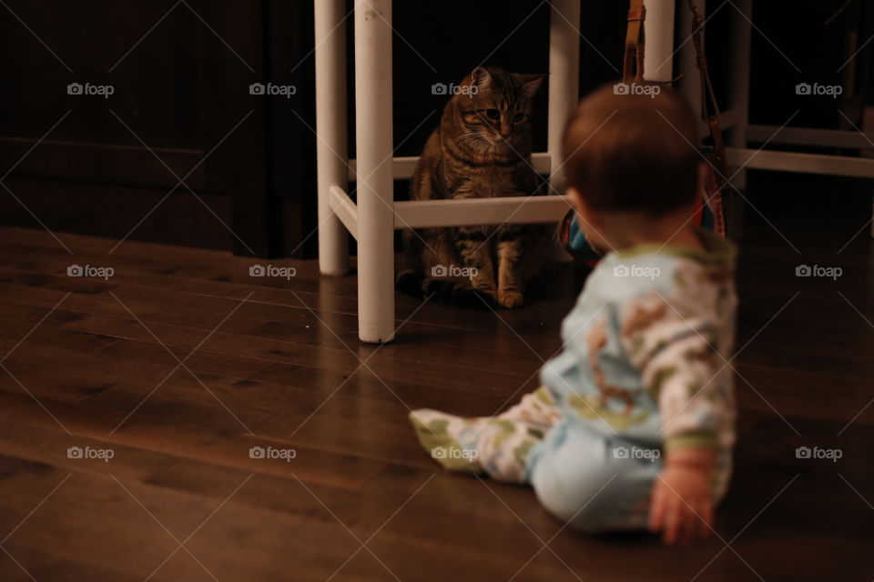 Oh hi! #baby #cat #kitty #kittycat #infant #woodfloor #hello