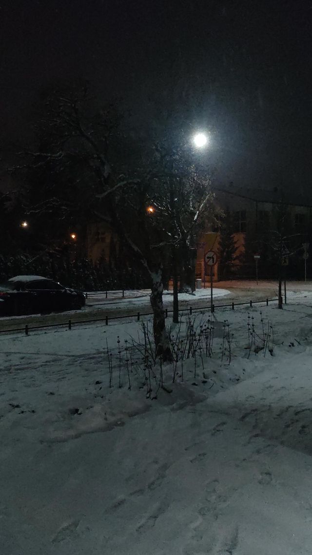 snow vibe
