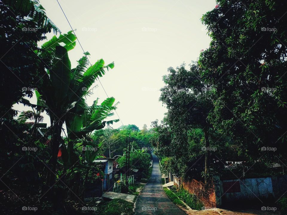 High and low road decorated with trees
