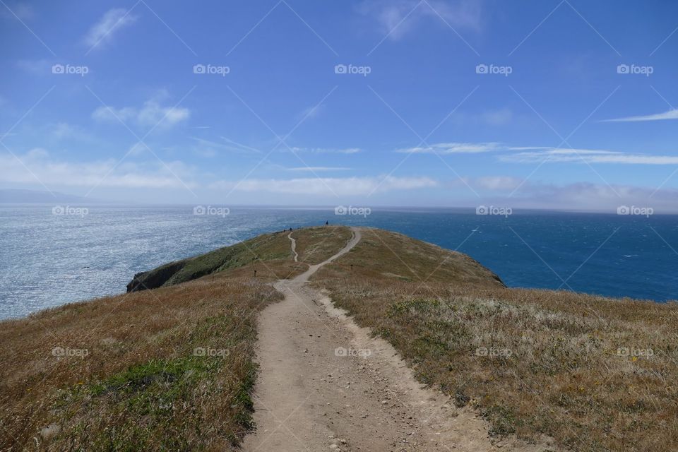 Trail in Point Reyes National Seashore located on the coast of California.