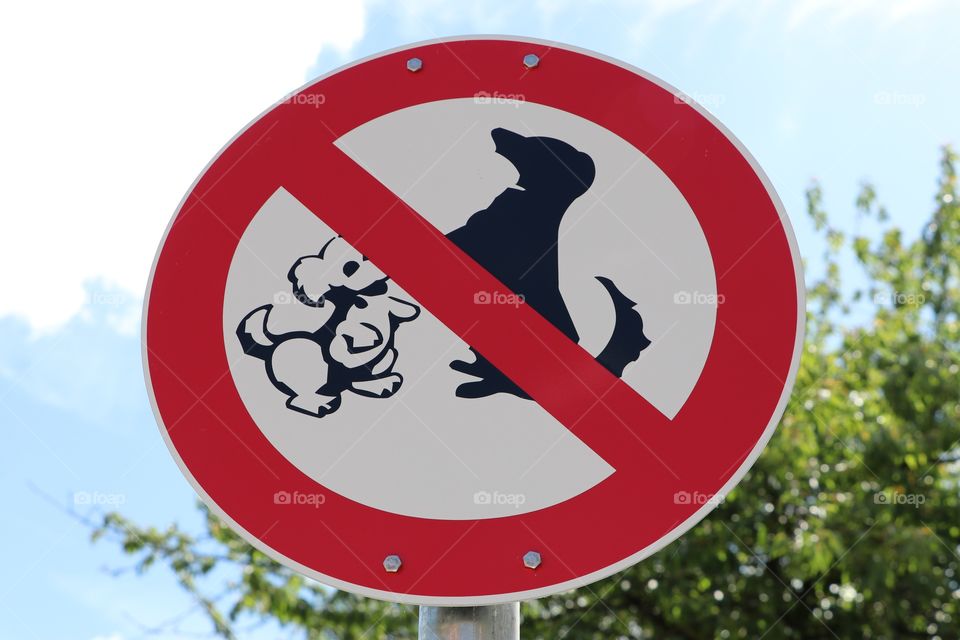 Dogs Prohibited Warning Shield Pet