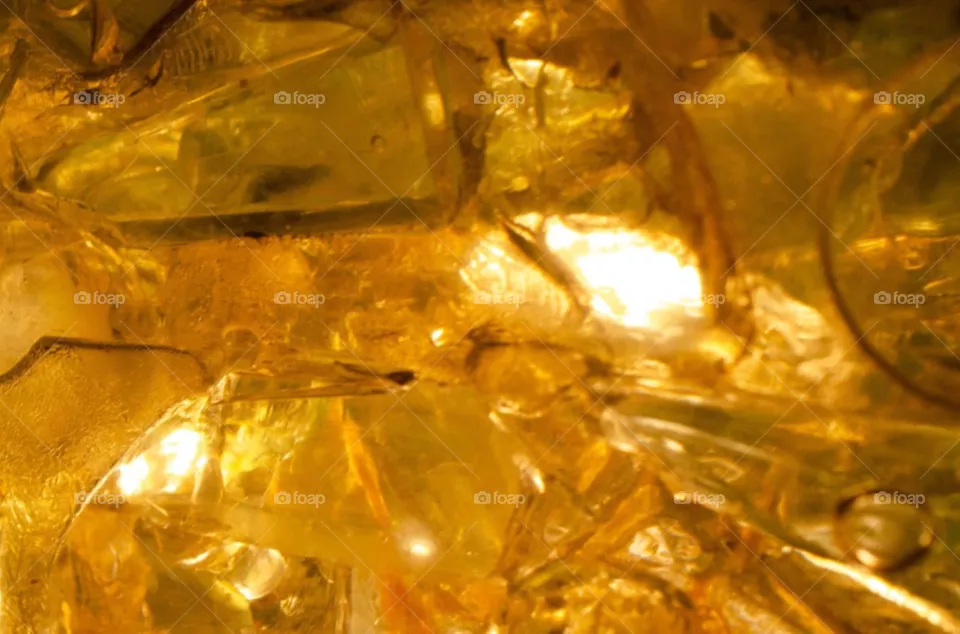 Shades of yellow