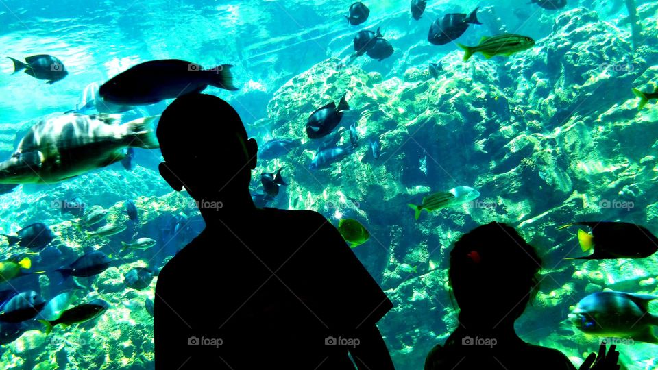 Boy and girl watching fishes at the aquarium