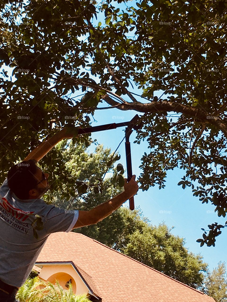 Staying in good shape by trimming the trees 