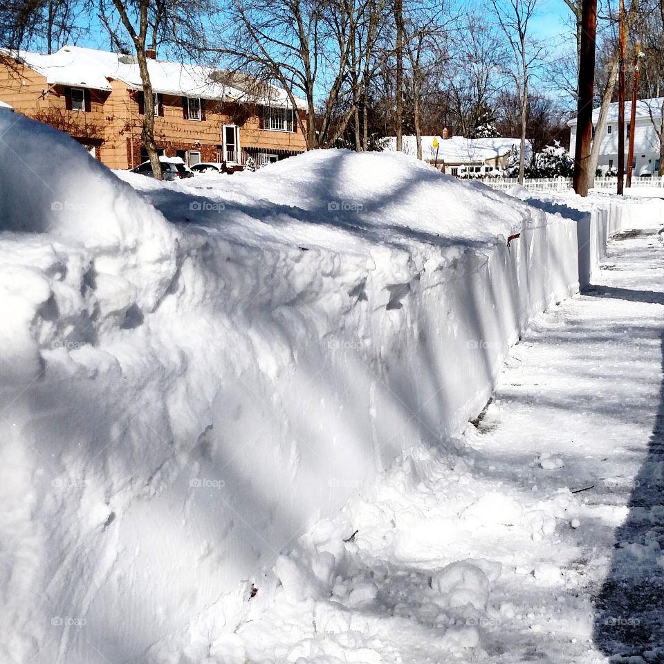 Winter Storm Jonas