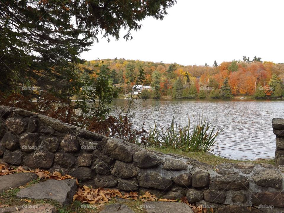 Gatineau park by lake