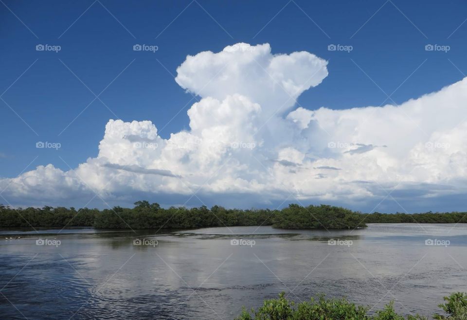 clouds over mangroves