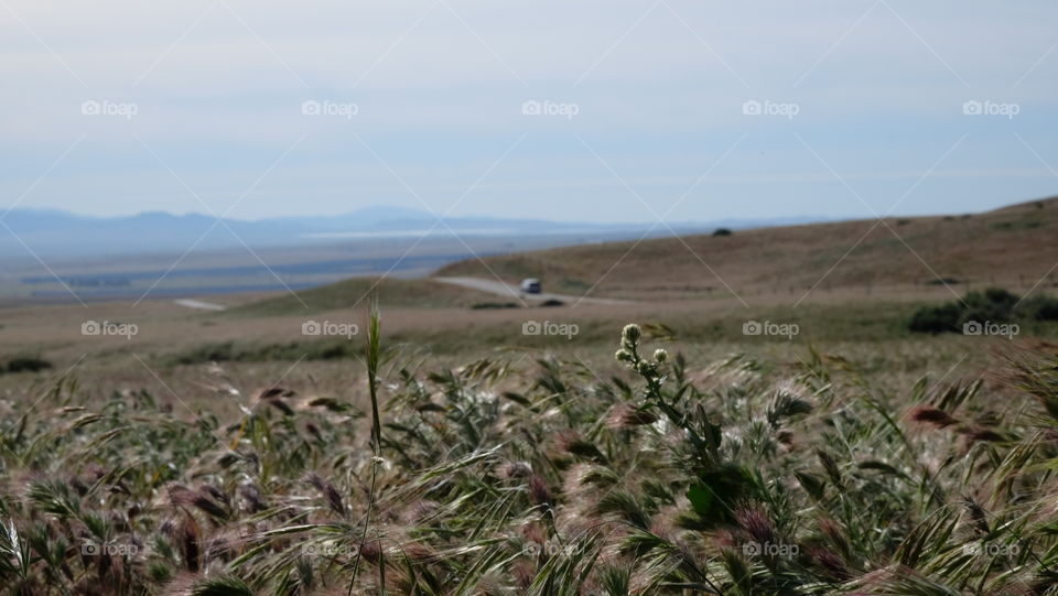 Countryside in California