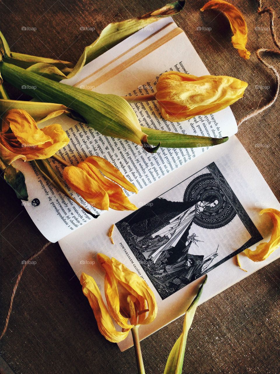 Yellow tulips on the book . Just tulips on the pages of a book... Poe... 