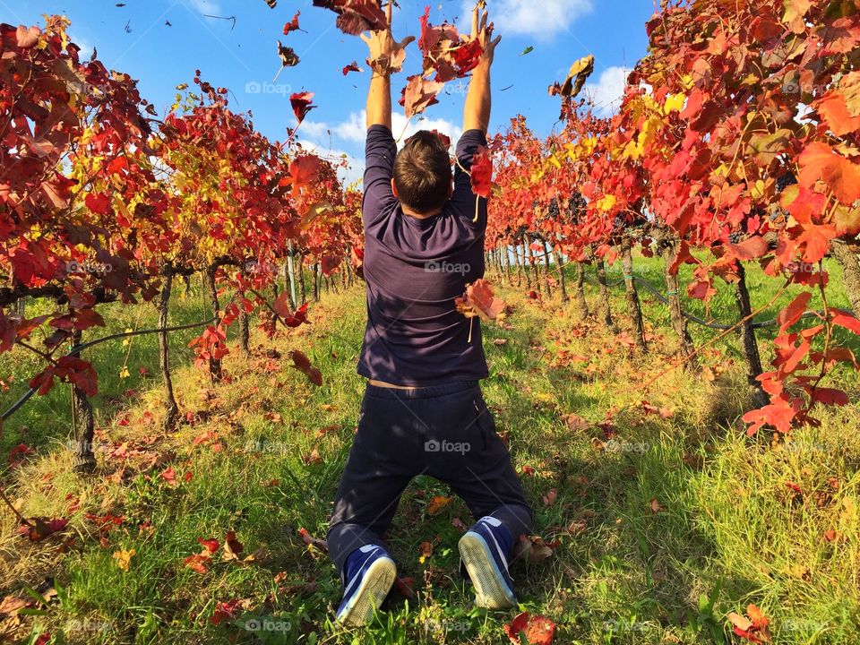 Beautiful Colors and red leaves everywhere around me in this autumn landscape